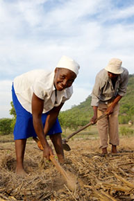 Our Works - Act for Peace