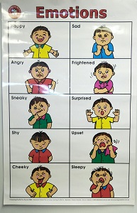 HRR emotions pic