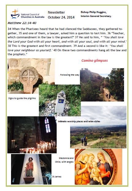NCCA_Newsletter_Issue_10_Thumbnail